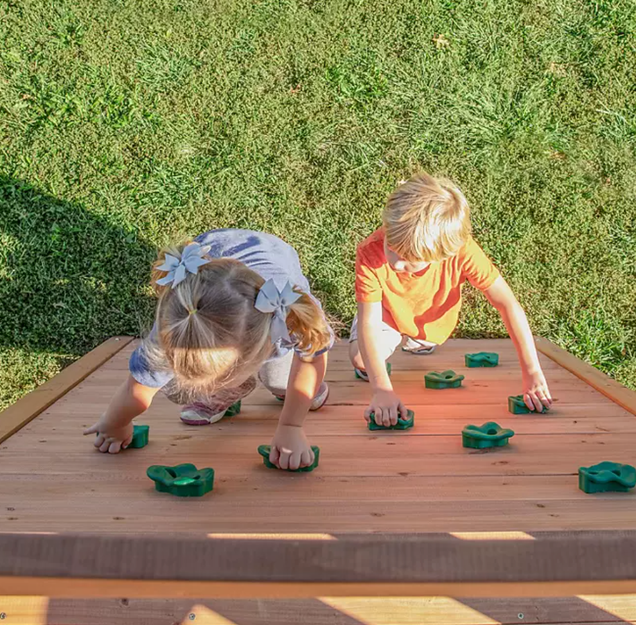 Endeavor Cedar Swing Set