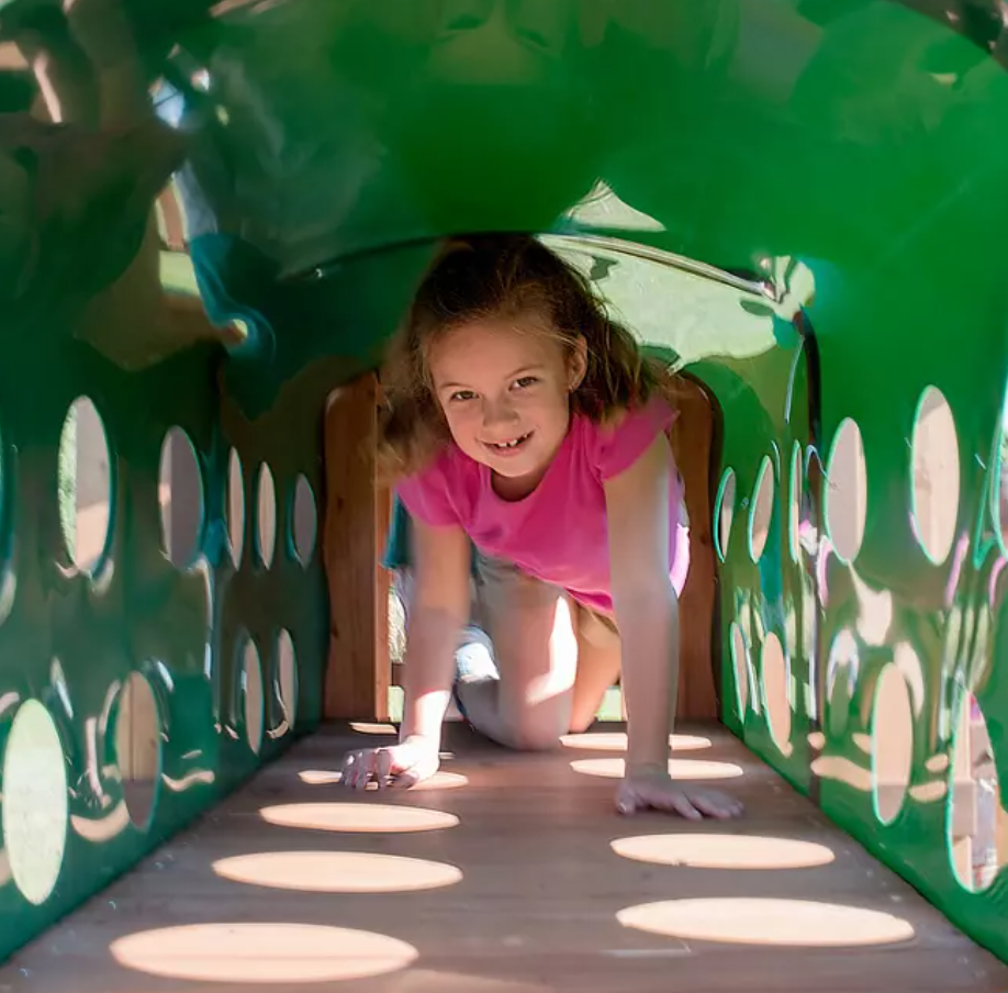 Elite Cedar Swing Set